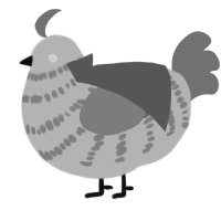 A mist and ash chicken with a bar pattern