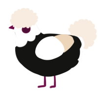 A black and cream chicken with a head pattern