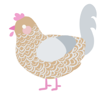 A beige and mist chicken with a double-lace pattern
