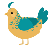 A honey and teal chicken with a half-lace pattern
