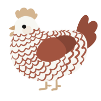 Orgeat, a white and russet chicken with a lace pattern