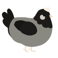 A ash and sable chicken with a head pattern