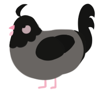 A grey and black chicken with a head pattern