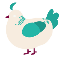 A cream and turquoise chicken with a neck-band pattern