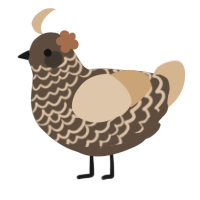 A bark and beige chicken with a lace pattern