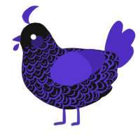 A black and indigo chicken with a double-lace pattern