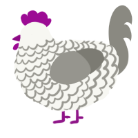 A white and ash chicken with a lace pattern