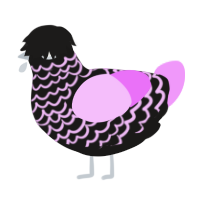 A sable and lavender chicken with a lace pattern