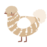 A beige and cream chicken with a bar pattern
