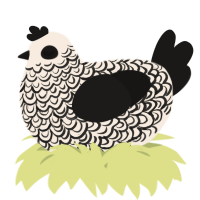 A cream and sable chicken with a double-lace pattern