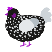 A sable and mist chicken with a speckle pattern