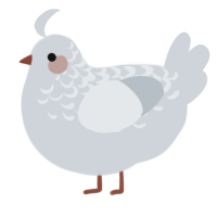 A mist chicken with a half-lace pattern
