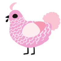A pink and rose chicken with a lace pattern