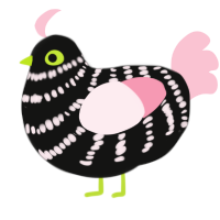 A black and rose chicken with a bar pattern