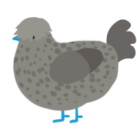 Halftone, a ash and grey chicken with a speckle pattern