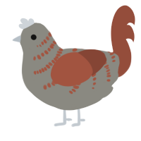 A ash and russet chicken with a half-bar pattern