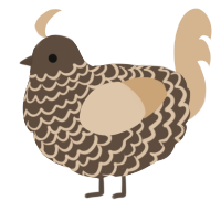 A bark and beige chicken with a lace pattern