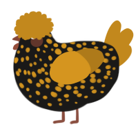 A sable and ochre chicken with a speckle pattern