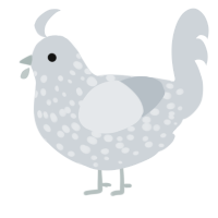 A mist chicken with a speckle pattern