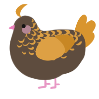 A bark and orange chicken with a half-lace pattern