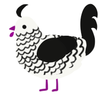 A white and black chicken with a lace pattern