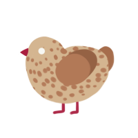 Whole Wheat, a beige and brown chicken with a speckle pattern