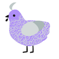 Primacy, a lilac and silver chicken with a double-lace pattern