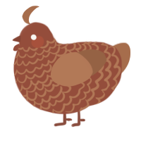 A russet and brown chicken with a lace pattern