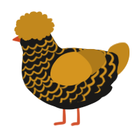 A sable and ochre chicken with a lace pattern