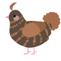 A bark and brown chicken with a bar pattern