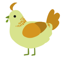 A lemon and ochre chicken with a neck-band pattern
