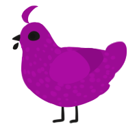 A plum chicken with a speckle pattern
