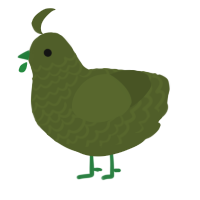 A olive chicken with a lace pattern