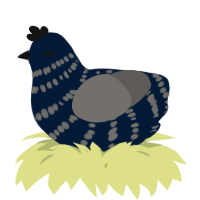 A tumblr and grey chicken with a bar pattern