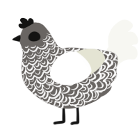 A grey and white chicken with a double-lace pattern