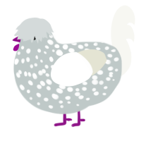 Bunny, a silver and white chicken with a speckle pattern