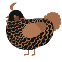 A black and brown chicken with a lace pattern