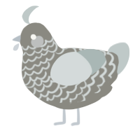 A ash and silver chicken with a lace pattern