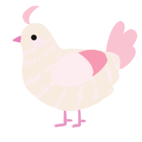 A cream and rose chicken with a bar pattern