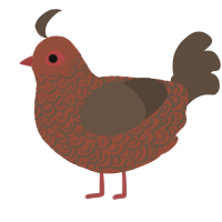 A russet and bark chicken with a double-lace pattern