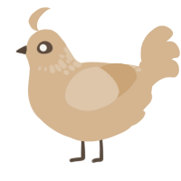 A beige chicken with a neck-speckle pattern