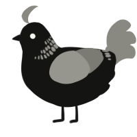 A black and ash chicken with a neck-band pattern