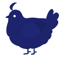 A navy chicken with a neck-band pattern