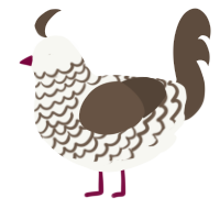 A white and bark chicken with a lace pattern