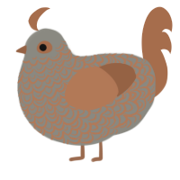 A ash and brown chicken with a double-lace pattern
