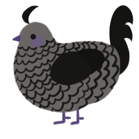 A grey and black chicken with a lace pattern