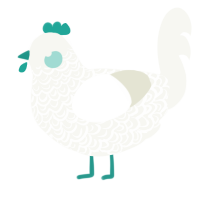 A white chicken with a double-lace pattern