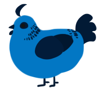 A sapphire and tumblr chicken with a neck-band pattern