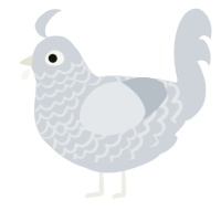 A mist chicken with a lace pattern
