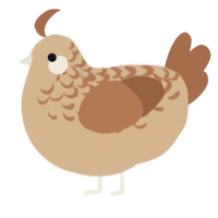 A beige and brown chicken with a half-lace pattern